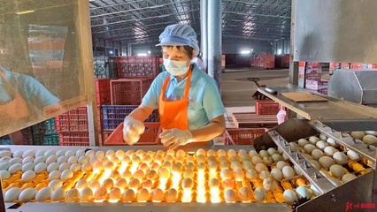 网眼看钦州|诚信食品企业开放日，“零距离”感受放心食品